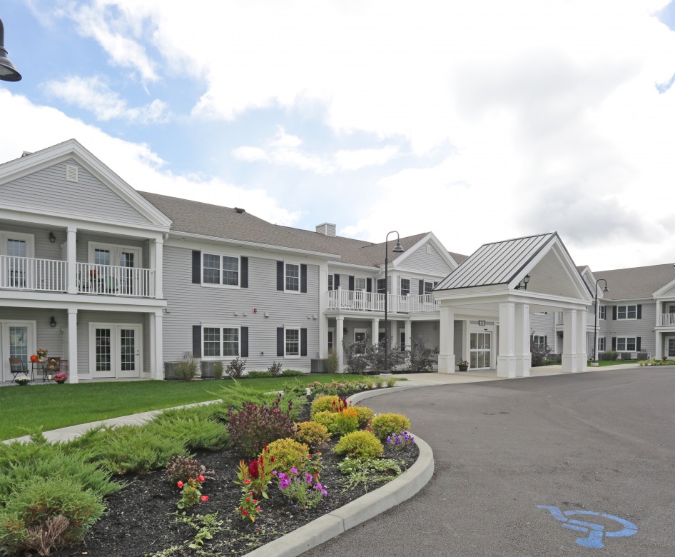 Birches at Schoharie