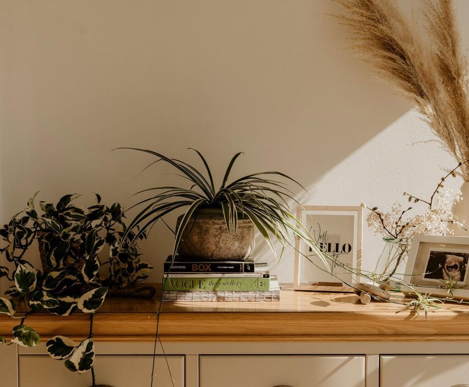 desk with plants on it 
