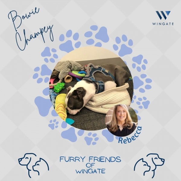 Property Management Wingate Companies